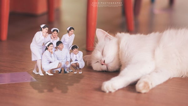 ภาพคนตัวจิ๋ว ภาพคนตัวจิ๋ว