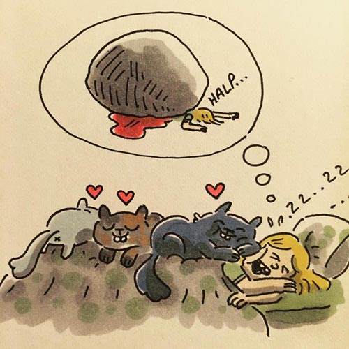 การ์ตูนแมว การ์ตูนแมว