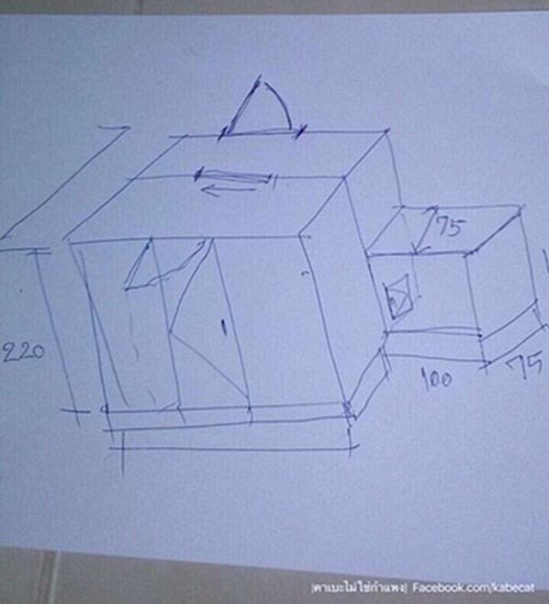 สร้างบ้านแมว สร้างบ้านแมว