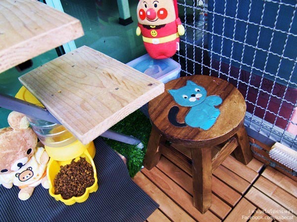 สร้างบ้านแมว สร้างบ้านแมว