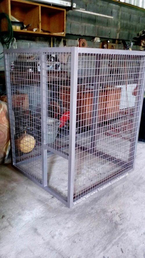 สร้างบ้านแมว สร้างบ้านแมว