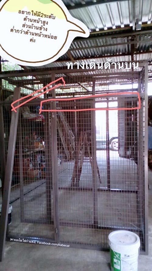 สร้างบ้านแมว สร้างบ้านแมว