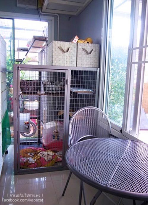 สร้างบ้านแมว สร้างบ้านแมว