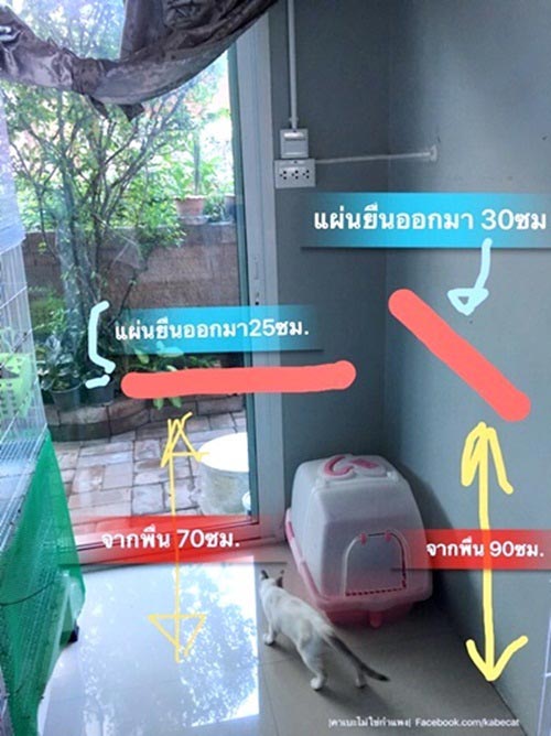 สร้างบ้านแมว สร้างบ้านแมว