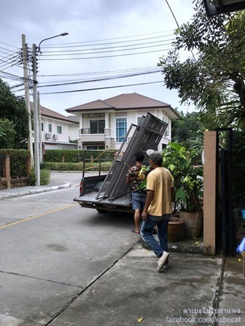 สร้างบ้านแมว สร้างบ้านแมว