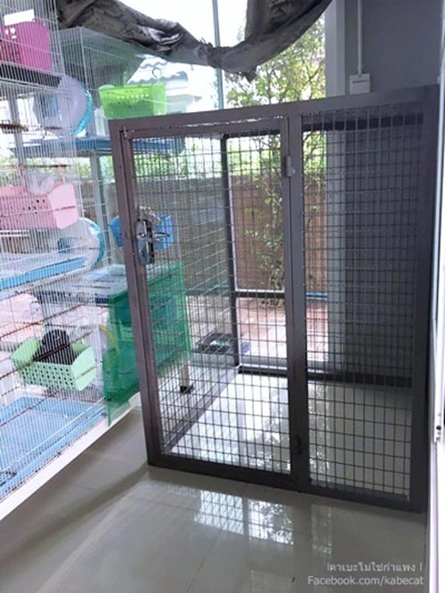 สร้างบ้านแมว สร้างบ้านแมว