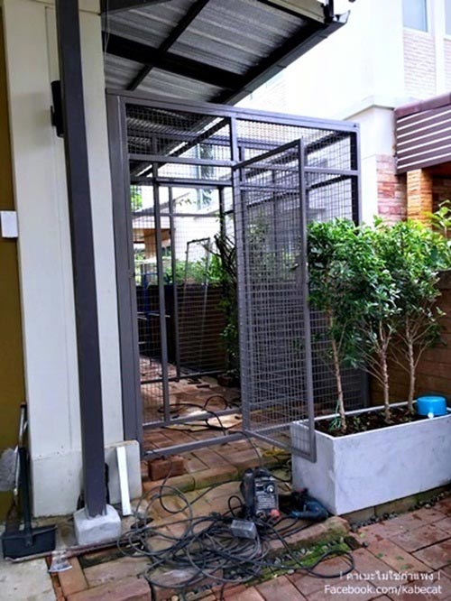 สร้างบ้านแมว สร้างบ้านแมว
