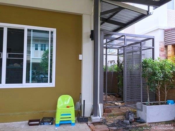 สร้างบ้านแมว สร้างบ้านแมว