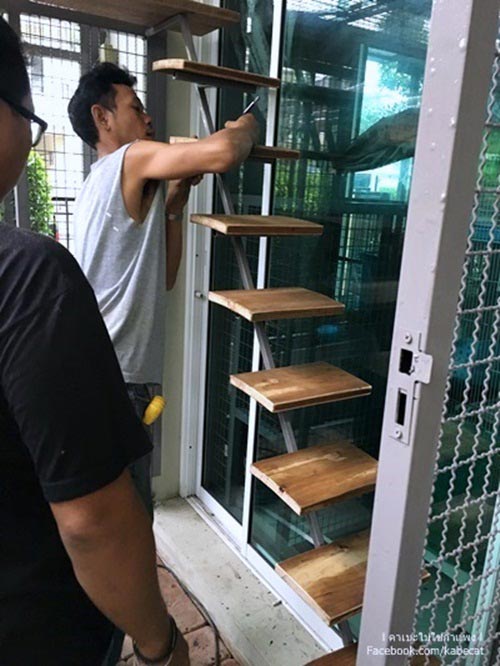 สร้างบ้านแมว สร้างบ้านแมว