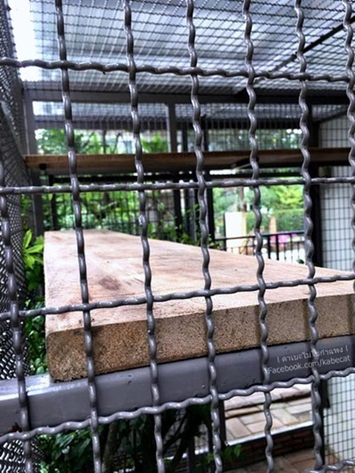 สร้างบ้านแมว สร้างบ้านแมว