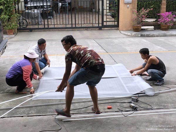 สร้างบ้านแมว สร้างบ้านแมว