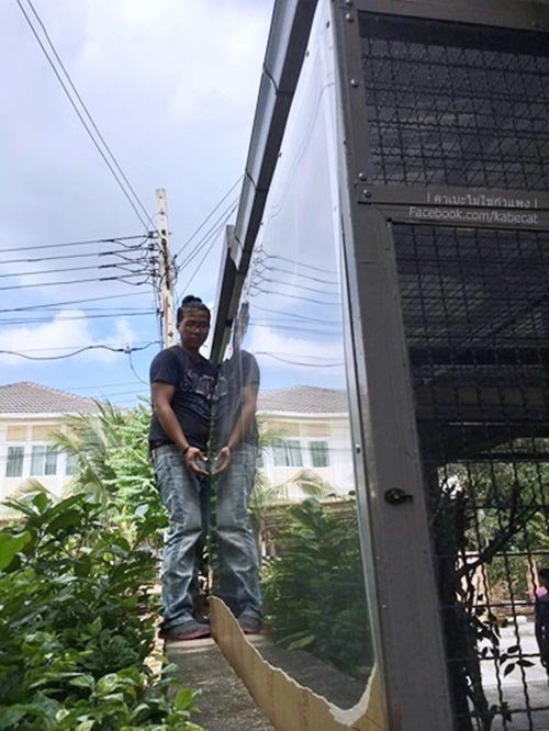 สร้างบ้านแมว สร้างบ้านแมว