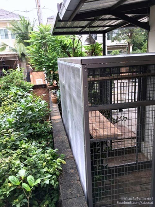 สร้างบ้านแมว สร้างบ้านแมว