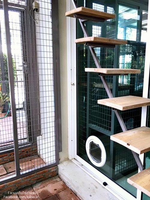 สร้างบ้านแมว สร้างบ้านแมว