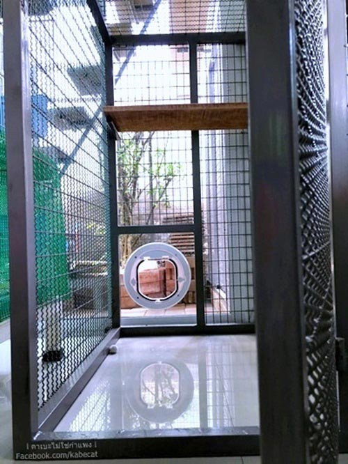 สร้างบ้านแมว สร้างบ้านแมว