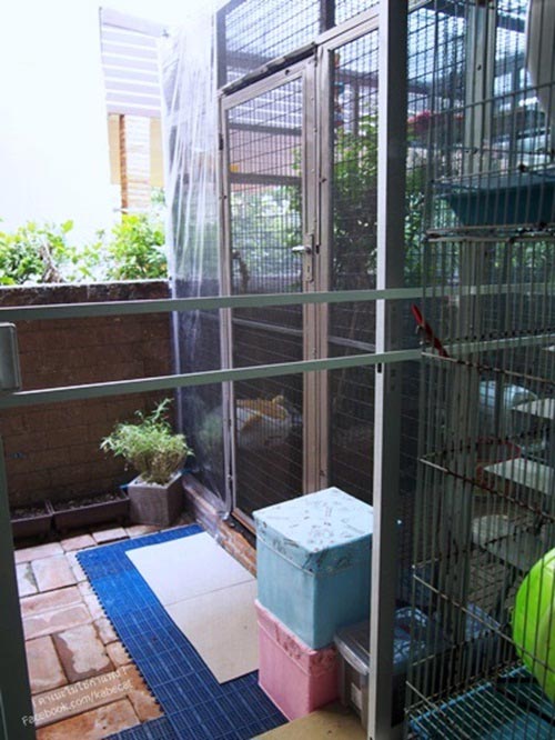 สร้างบ้านแมว สร้างบ้านแมว