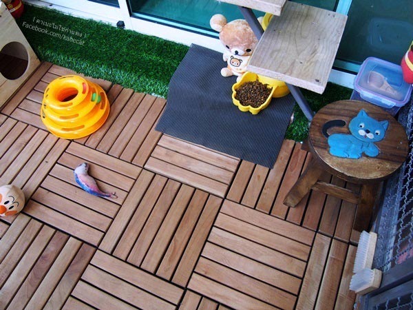 สร้างบ้านแมว สร้างบ้านแมว