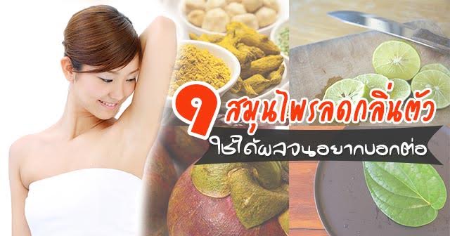 สมุนไพรช่วยลดกลิ่นตัว สมุนไพรช่วยลดกลิ่นตัว