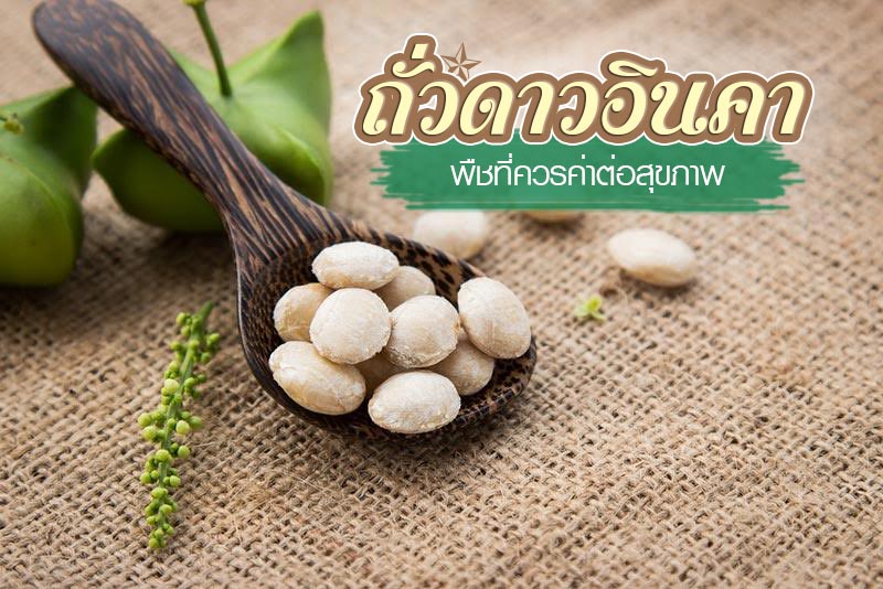 ถั่วดาวอินคา ถั่วดาวอินคา
