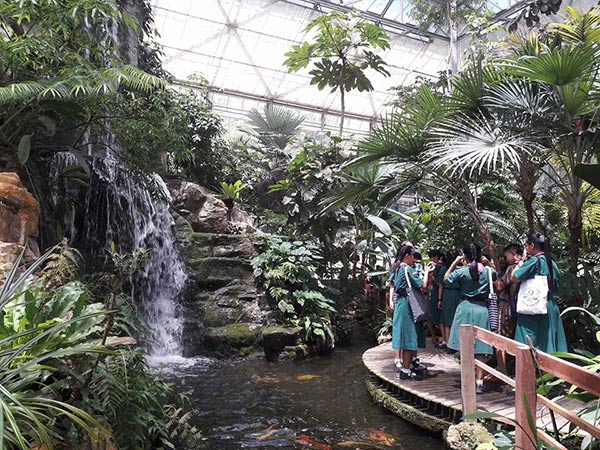 โครงการพระราชดำริของพระราชินี โครงการพระราชดำริของพระราชินี