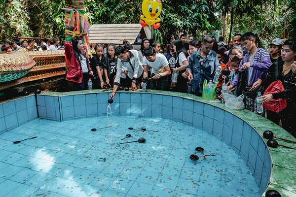 ที่เที่ยวตามรอยพญานาค ที่เที่ยวตามรอยพญานาค