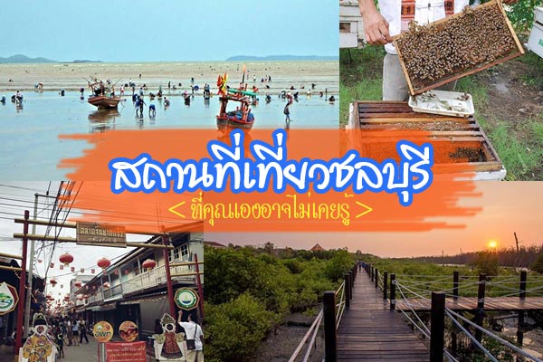 เที่ยวชลบุรี เที่ยวชลบุรี