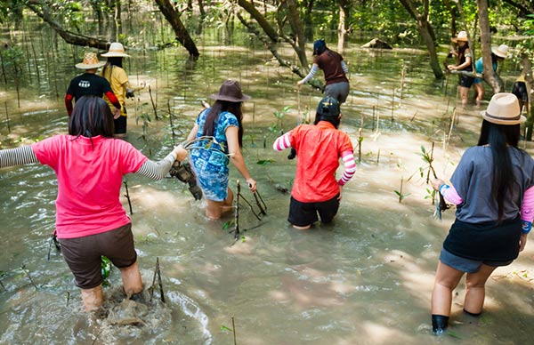 เที่ยวคลองโคน สมุทรสงคราม เที่ยวคลองโคน สมุทรสงคราม