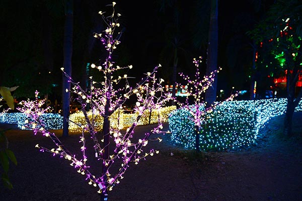 สวนเรืองแสง สวนเรืองแสง