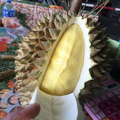 ร้านทุเรียนอร่อย ร้านทุเรียนอร่อย