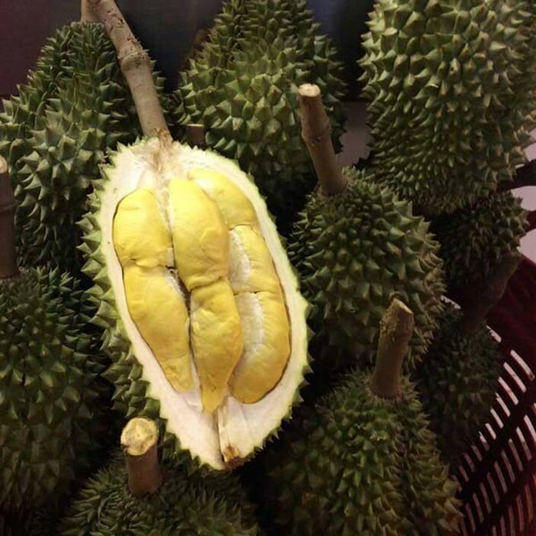 ร้านทุเรียนอร่อย ร้านทุเรียนอร่อย