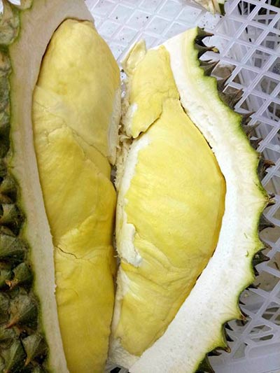 ร้านทุเรียนอร่อย ร้านทุเรียนอร่อย