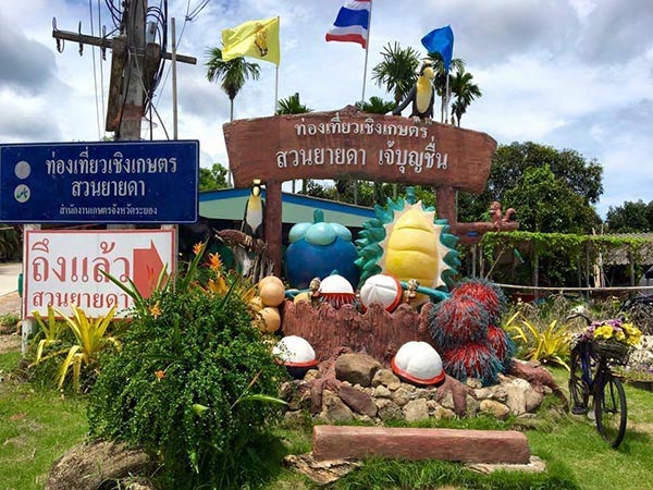 สวนผลไม้ สวนผลไม้
