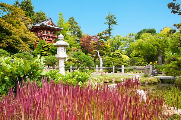ซานฟรานซิสโก สหรัฐอเมริกา ซานฟรานซิสโก สหรัฐอเมริกา