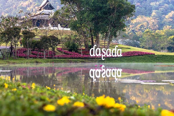 ดาษดา แกลเลอรี่ ดาษดา แกลเลอรี่