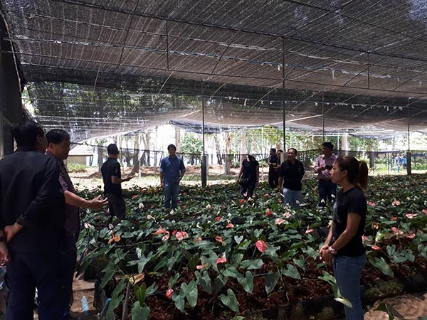 โครงการพระราชดำริ โครงการพระราชดำริ