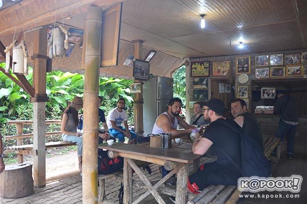 ต้นกาแฟประวัติศาสตร์ของในหลวง ร.9 ต้นกาแฟประวัติศาสตร์ของในหลวง ร.9