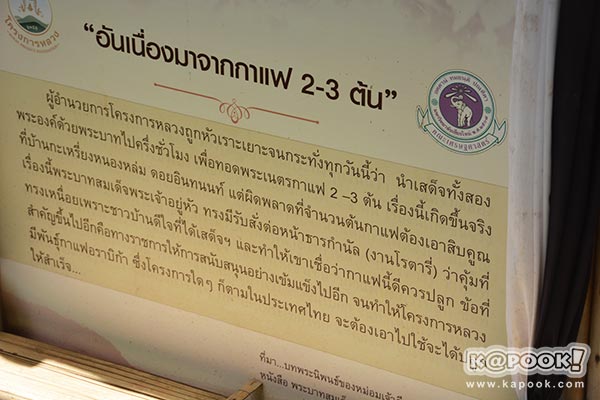 ต้นกาแฟประวัติศาสตร์ของในหลวง ร.9 ต้นกาแฟประวัติศาสตร์ของในหลวง ร.9