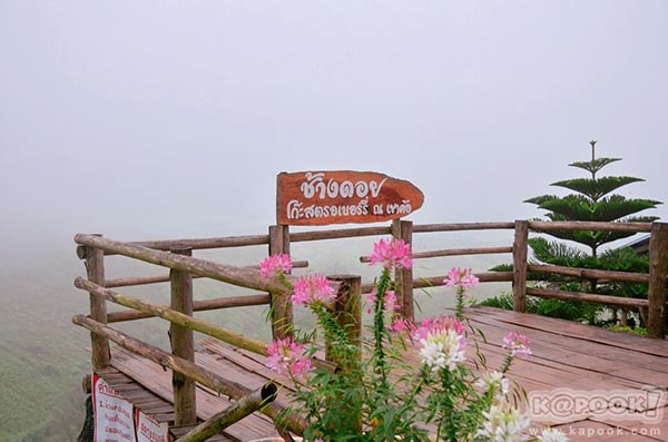 เที่ยวเขาค้อ เที่ยวเขาค้อ