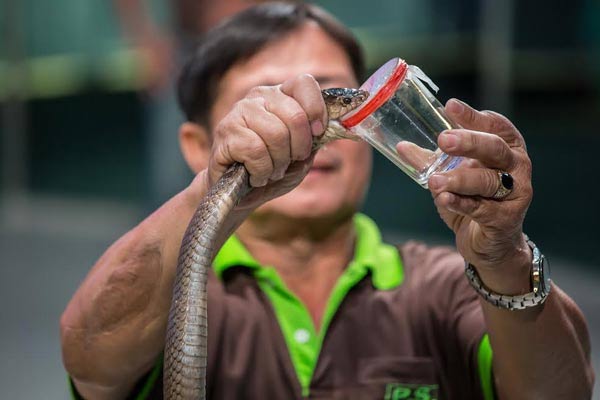 ที่เที่ยวเปิดใหม่ปี 2017 ที่เที่ยวเปิดใหม่ปี 2017