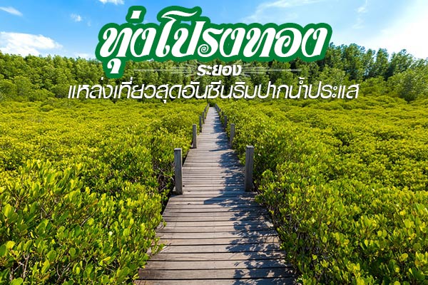 เที่ยวทุ่งโปรงทอง เที่ยวทุ่งโปรงทอง