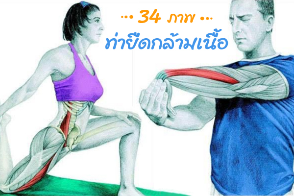 ท่ายืดกล้ามเนื้อ ท่ายืดกล้ามเนื้อ