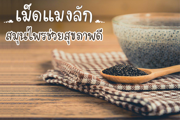เม็ดแมงลัก เม็ดแมงลัก