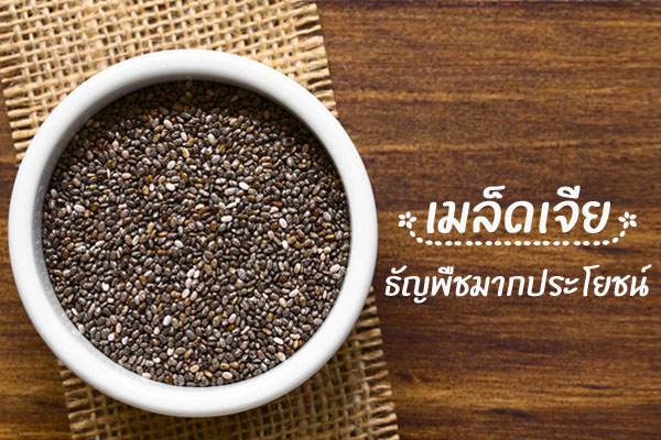 เมล็ดเจีย เมล็ดเจีย