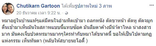 สุนัขโดนฆ่าถลกหนัง สุนัขโดนฆ่าถลกหนัง