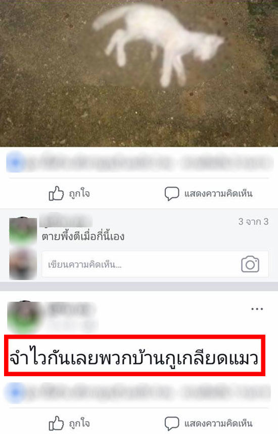 สาวใจเหี้ยม โพสต์รูปฆ่าแมว ลั่นบ้านกูเกลียดแมว...ตาย 4 ตัวจะเป็นไร สาวใจเหี้ยม โพสต์รูปฆ่าแมว ลั่นบ้านกูเกลียดแมว...ตาย 4 ตัวจะเป็นไร