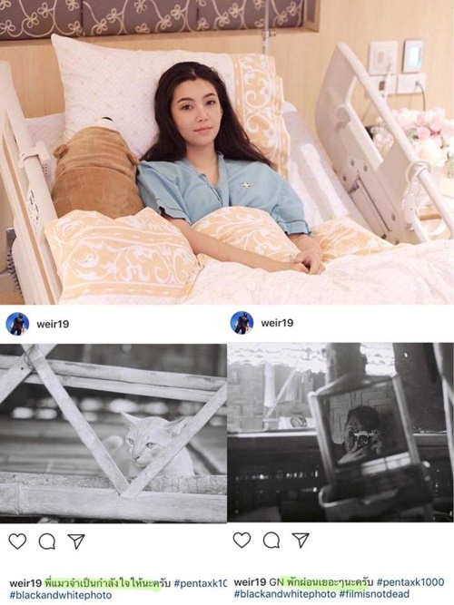 เวียร์ เบลล่า เวียร์ เบลล่า
