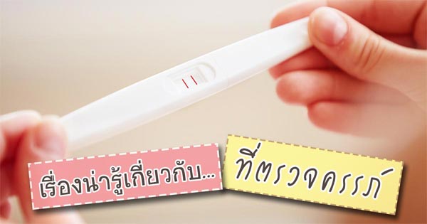 ที่ตรวจครรภ์ ที่ตรวจครรภ์