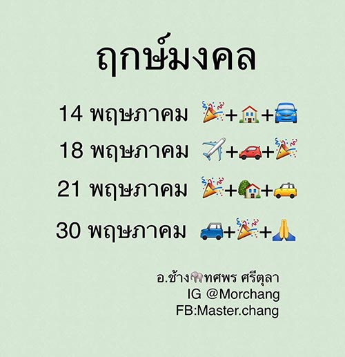 หมอช้าง หมอช้าง