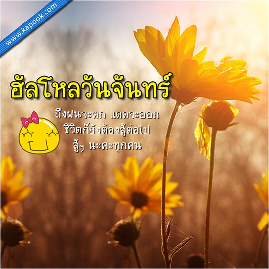 ดูดวงรายวัน ดูดวงรายวัน