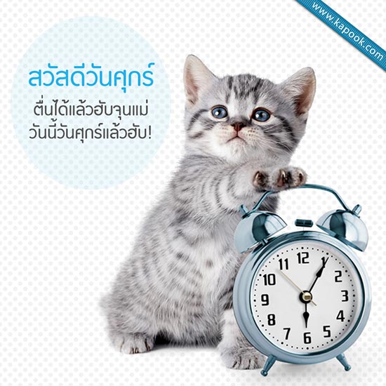 ดูดวงรายวัน ดูดวงรายวัน